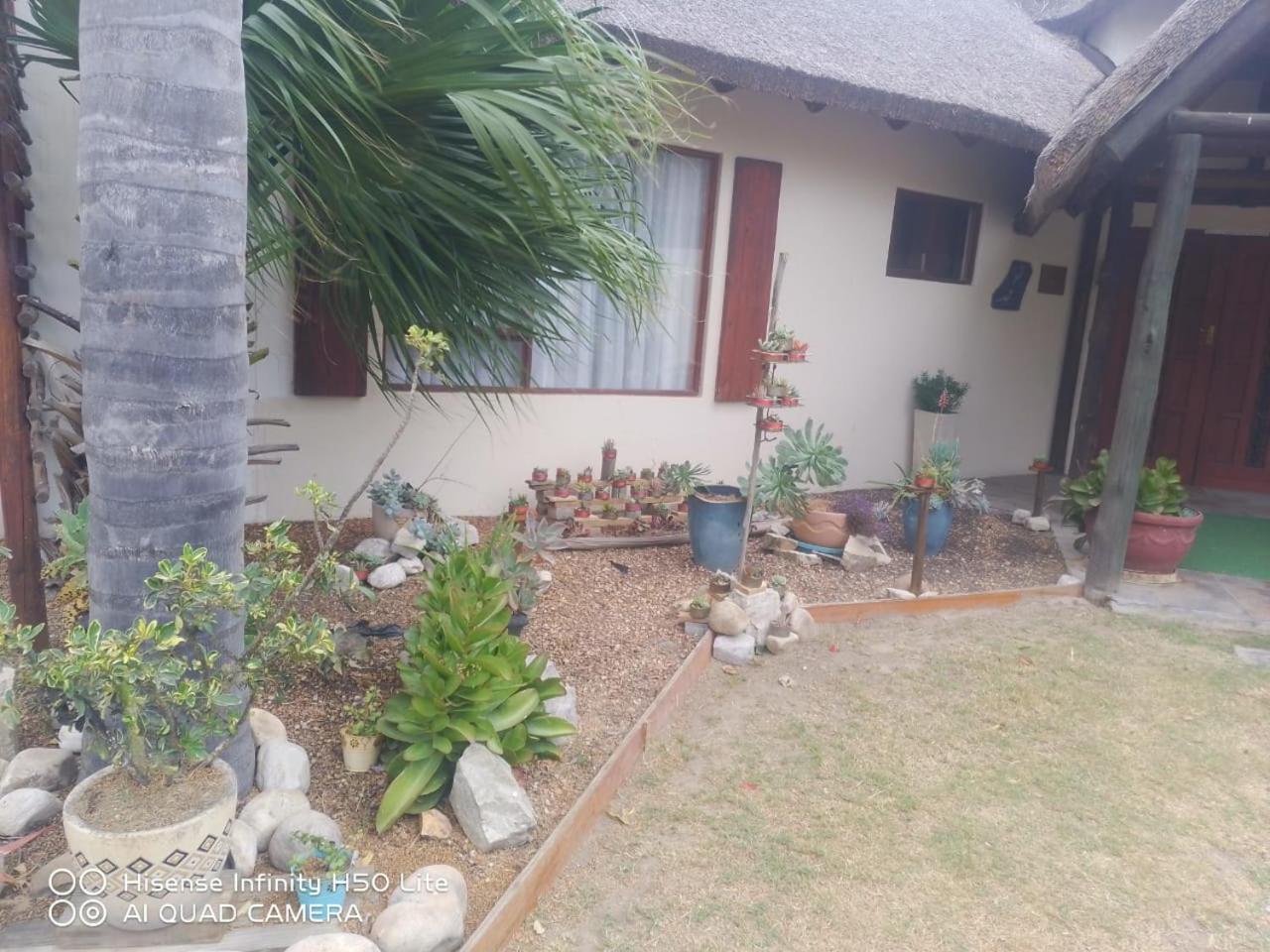 Happy Jackal Hotel Colchester Ngoại thất bức ảnh